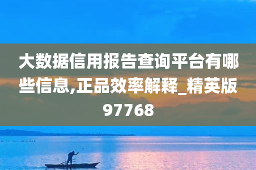 大数据信用报告查询平台有哪些信息,正品效率解释_精英版97768