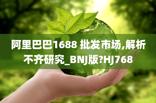 阿里巴巴1688 批发市场,解析不齐研究_BNJ版?HJ768