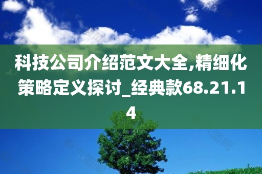 科技公司介绍范文大全,精细化策略定义探讨_经典款68.21.14