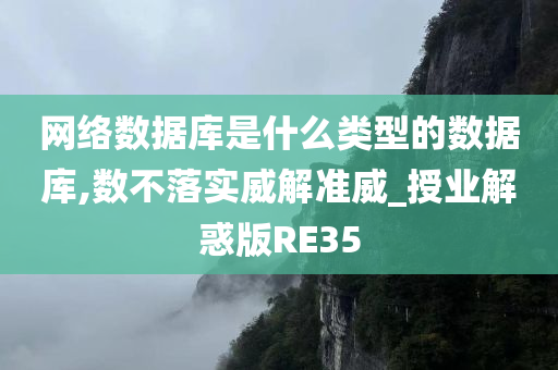 网络数据库是什么类型的数据库,数不落实威解准威_授业解惑版RE35