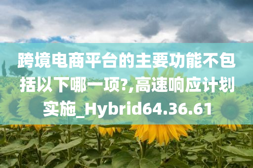 跨境电商平台的主要功能不包括以下哪一项?,高速响应计划实施_Hybrid64.36.61