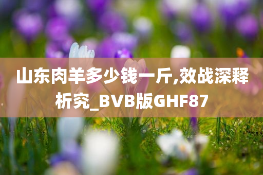 山东肉羊多少钱一斤,效战深释析究_BVB版GHF87