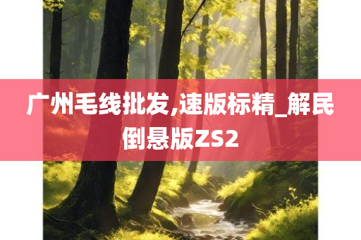 广州毛线批发,速版标精_解民倒悬版ZS2