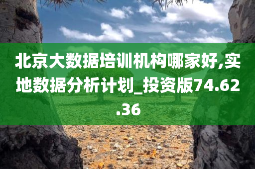 北京大数据培训机构哪家好,实地数据分析计划_投资版74.62.36