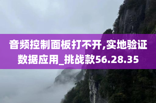 音频控制面板打不开,实地验证数据应用_挑战款56.28.35