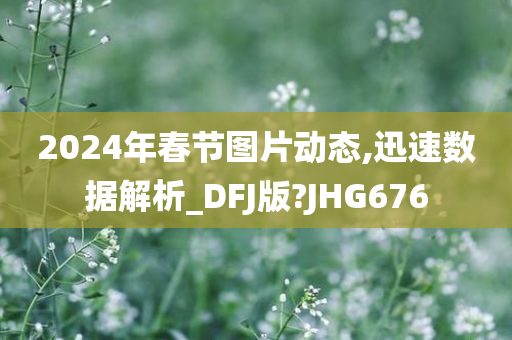 2024年春节图片动态,迅速数据解析_DFJ版?JHG676