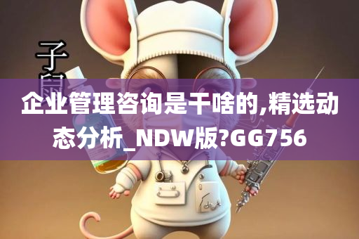 企业管理咨询是干啥的,精选动态分析_NDW版?GG756