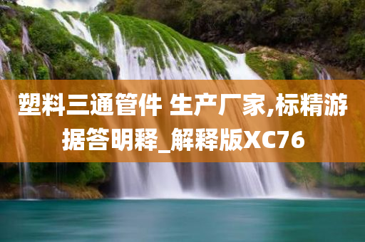 塑料三通管件 生产厂家,标精游据答明释_解释版XC76