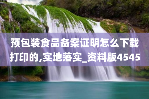 预包装食品备案证明怎么下载打印的,实地落实_资料版4545