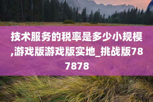 技术服务的税率是多少小规模,游戏版游戏版实地_挑战版787878