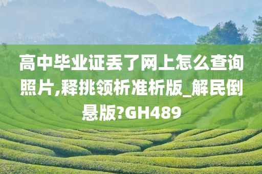 高中毕业证丢了网上怎么查询照片,释挑领析准析版_解民倒悬版?GH489