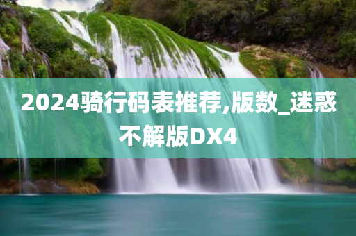 2024骑行码表推荐,版数_迷惑不解版DX4