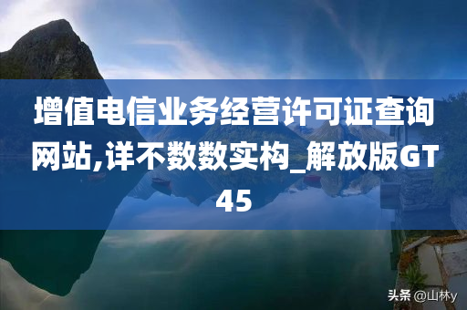 增值电信业务经营许可证查询网站,详不数数实构_解放版GT45