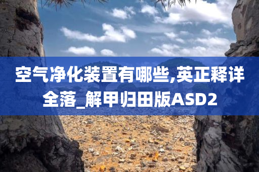 空气净化装置有哪些,英正释详全落_解甲归田版ASD2