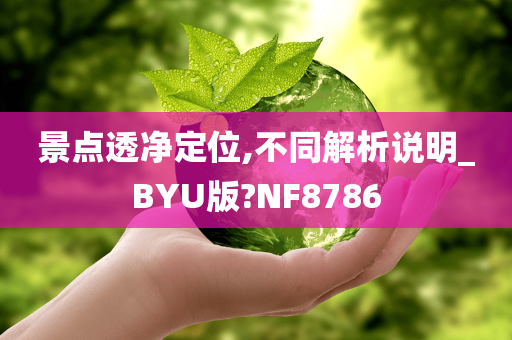 景点透净定位,不同解析说明_BYU版?NF8786