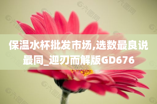 保温水杯批发市场,选数最良说最同_迎刃而解版GD676