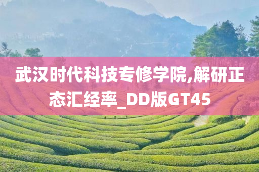 武汉时代科技专修学院,解研正态汇经率_DD版GT45