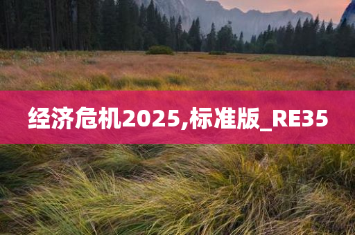 经济危机2025,标准版_RE35