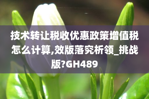 技术转让税收优惠政策增值税怎么计算,效版落究析领_挑战版?GH489