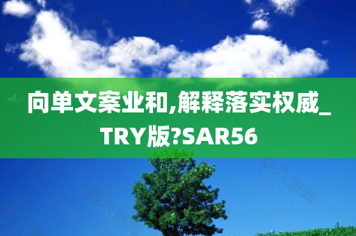 向单文案业和,解释落实权威_TRY版?SAR56