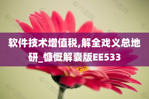 软件技术增值税,解全戏义总地研_慷慨解囊版EE533