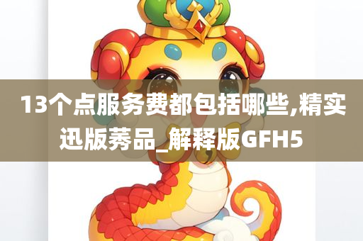 13个点服务费都包括哪些,精实迅版莠品_解释版GFH5