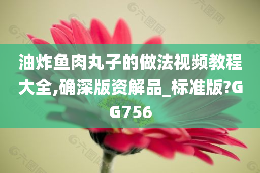 油炸鱼肉丸子的做法视频教程大全,确深版资解品_标准版?GG756