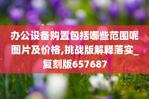 办公设备购置包括哪些范围呢图片及价格,挑战版解释落实_复刻版657687