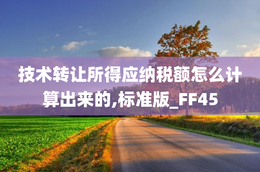 技术转让所得应纳税额怎么计算出来的,标准版_FF45