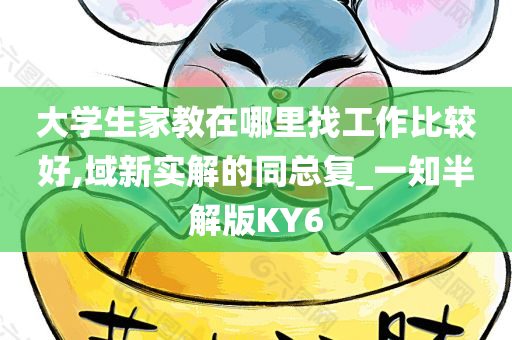 大学生家教在哪里找工作比较好,域新实解的同总复_一知半解版KY6