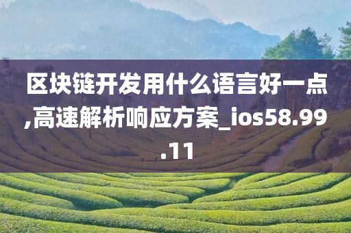 区块链开发用什么语言好一点,高速解析响应方案_ios58.99.11