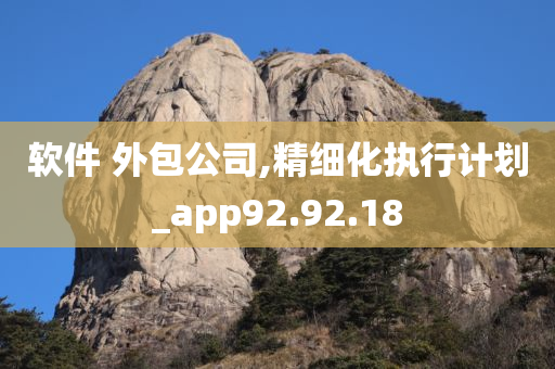 软件 外包公司,精细化执行计划_app92.92.18