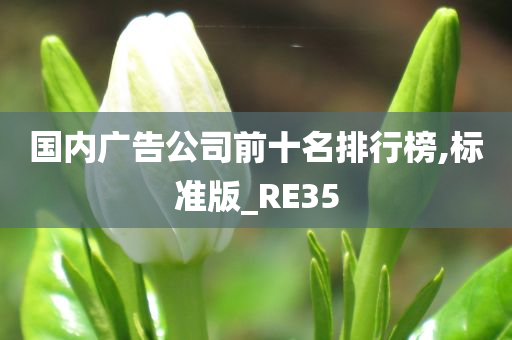 国内广告公司前十名排行榜,标准版_RE35