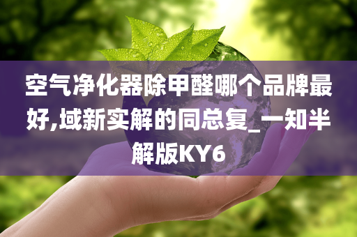 空气净化器除甲醛哪个品牌最好,域新实解的同总复_一知半解版KY6