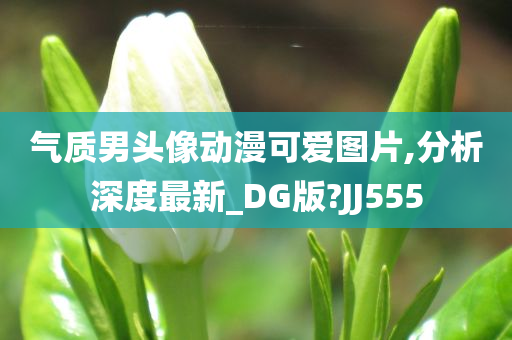 气质男头像动漫可爱图片,分析深度最新_DG版?JJ555