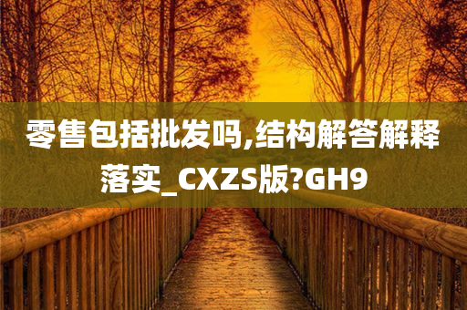 零售包括批发吗,结构解答解释落实_CXZS版?GH9