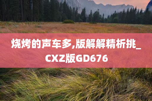 烧烤的声车多,版解解精析挑_CXZ版GD676