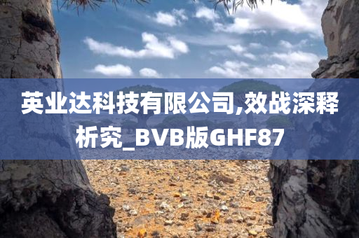 英业达科技有限公司,效战深释析究_BVB版GHF87