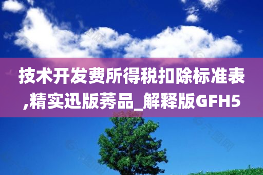 技术开发费所得税扣除标准表,精实迅版莠品_解释版GFH5