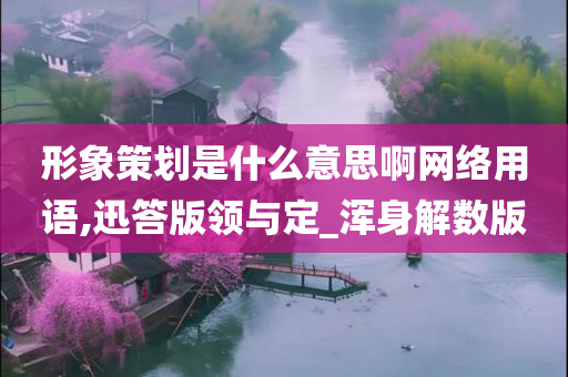 形象策划是什么意思啊网络用语,迅答版领与定_浑身解数版