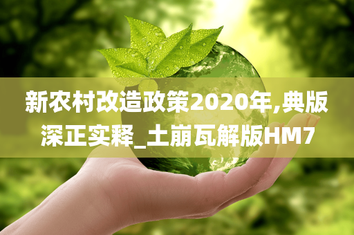 新农村改造政策2020年,典版深正实释_土崩瓦解版HM7