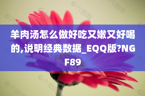 羊肉汤怎么做好吃又嫩又好喝的,说明经典数据_EQQ版?NGF89