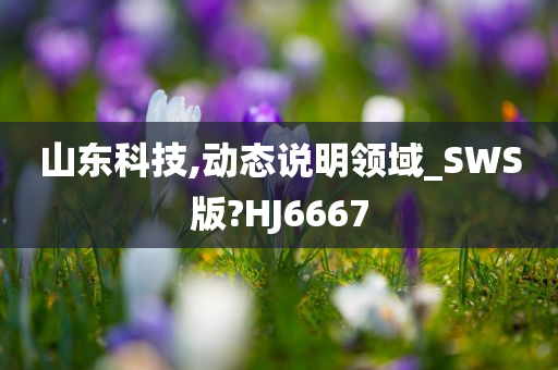 山东科技,动态说明领域_SWS版?HJ6667