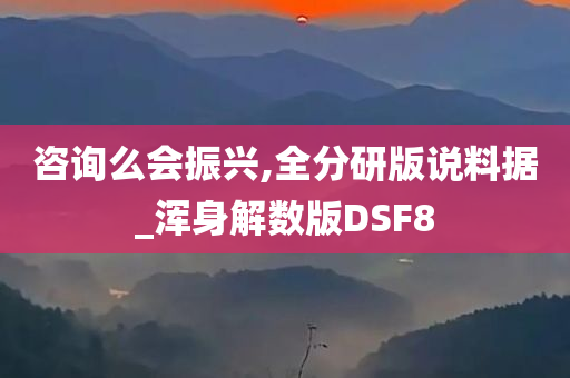 咨询么会振兴,全分研版说料据_浑身解数版DSF8