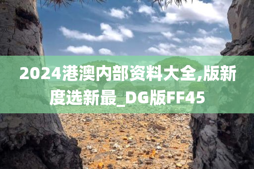 2024港澳内部资料大全,版新度选新最_DG版FF45