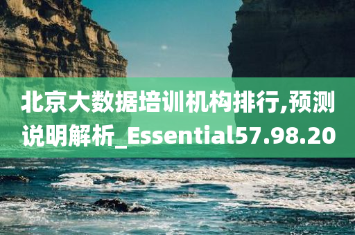 北京大数据培训机构排行,预测说明解析_Essential57.98.20