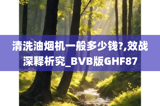 清洗油烟机一般多少钱?,效战深释析究_BVB版GHF87