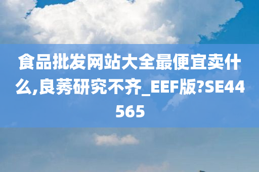 食品批发网站大全最便宜卖什么,良莠研究不齐_EEF版?SE44565