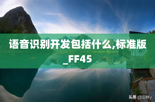 语音识别开发包括什么,标准版_FF45