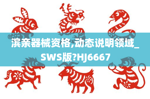 滨亲器械资格,动态说明领域_SWS版?HJ6667